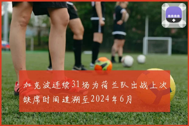 加克波连续31场为荷兰队出战上次缺席时间追溯至2024年6月