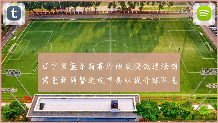 辽宁男篮季前赛外线表现低迷杨鸣需重新调整进攻节奏以提升球队竞争力