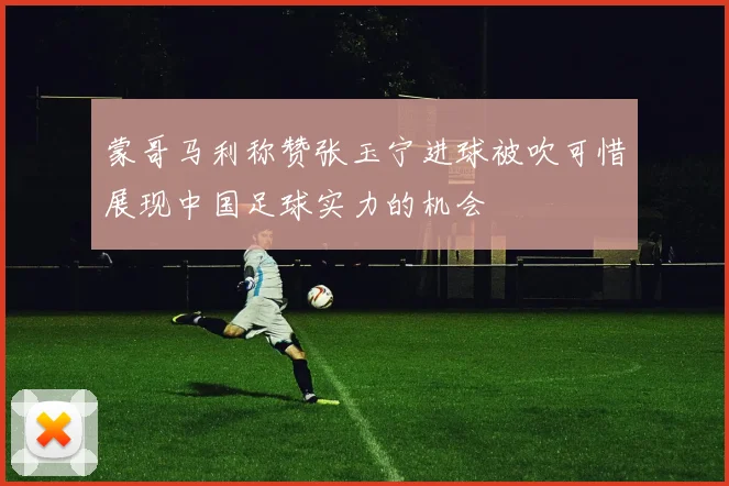 蒙哥马利称赞张玉宁进球被吹可惜展现中国足球实力的机会